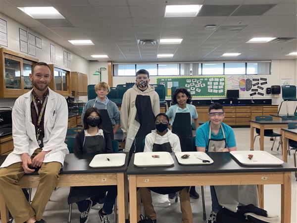 PPMS STEM